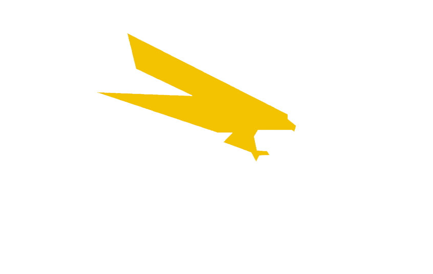 Agnico Mining
