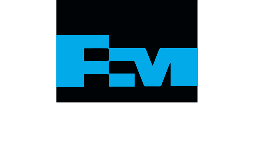 freeport mcmoran group